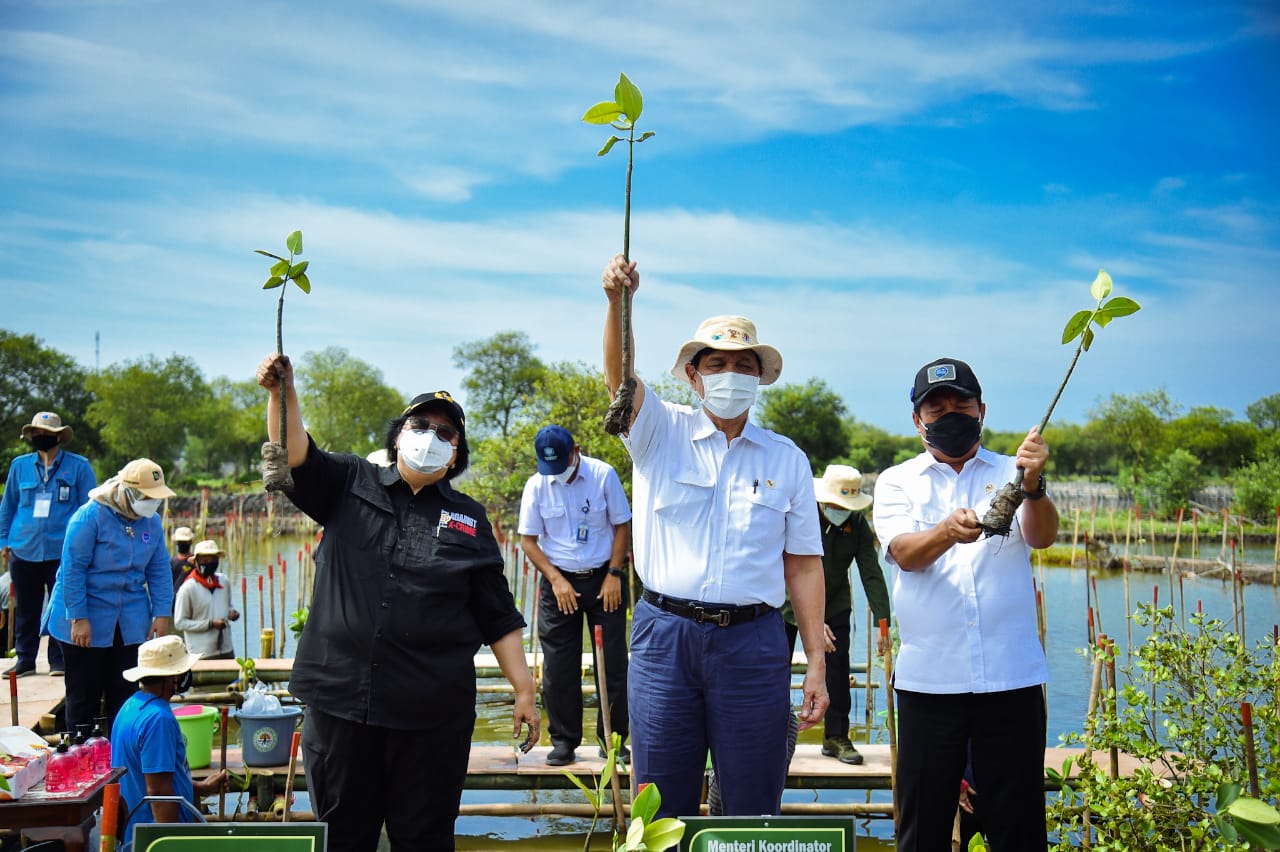 Kick Off Penanaman Mangrove Tahun 2021
