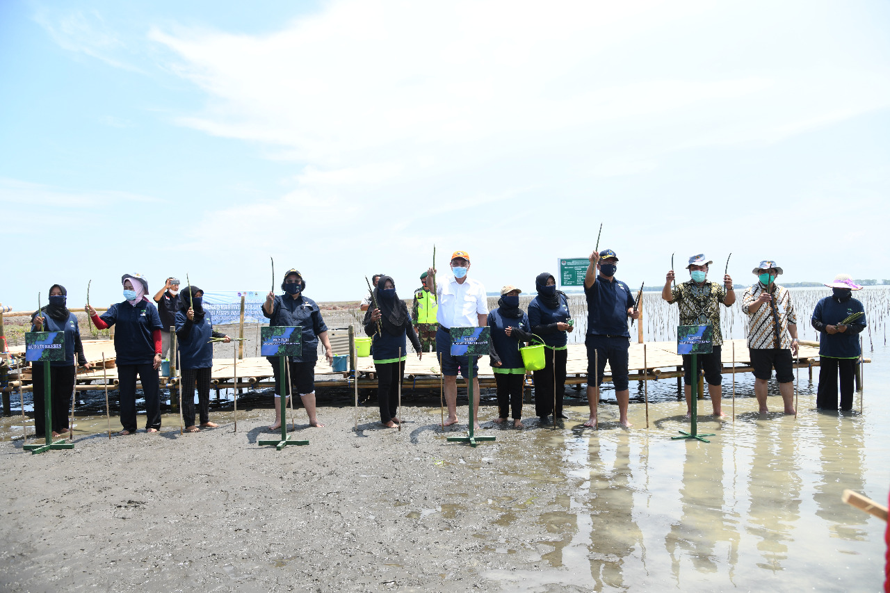 Kunjungan Menko Marves, Menteri LHK, Menteri KP Dalam Rangka Penanaman Padat Karya Mangrove Guna Pemulihan Ekonomi Nasional